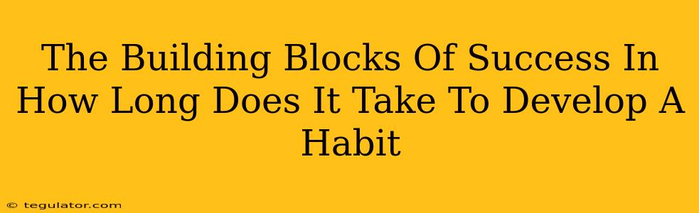 The Building Blocks Of Success In How Long Does It Take To Develop A Habit