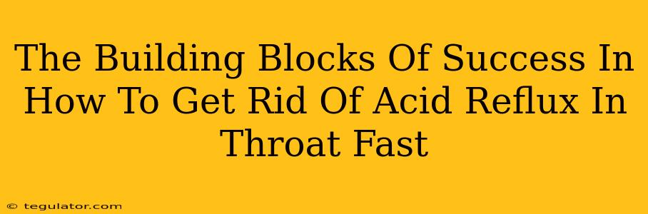 The Building Blocks Of Success In How To Get Rid Of Acid Reflux In Throat Fast