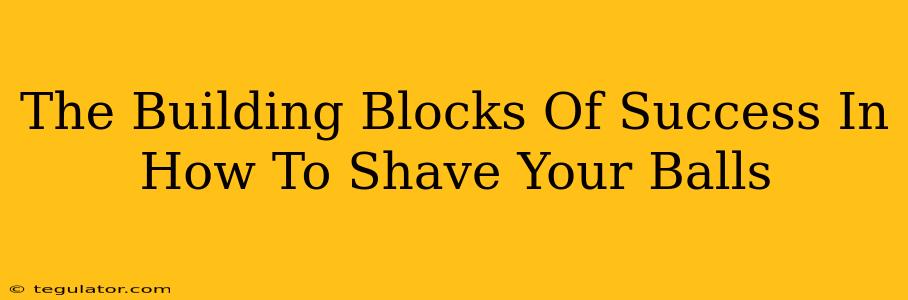 The Building Blocks Of Success In How To Shave Your Balls