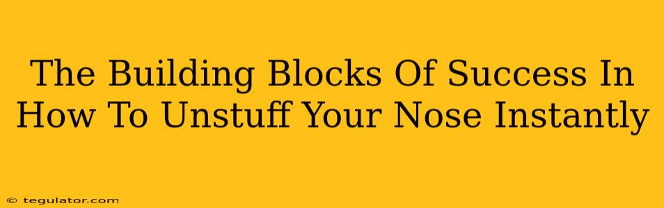 The Building Blocks Of Success In How To Unstuff Your Nose Instantly