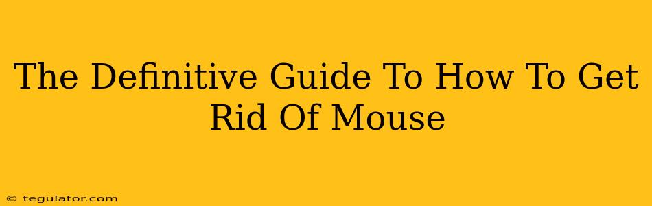 The Definitive Guide To How To Get Rid Of Mouse