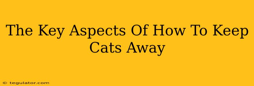 The Key Aspects Of How To Keep Cats Away