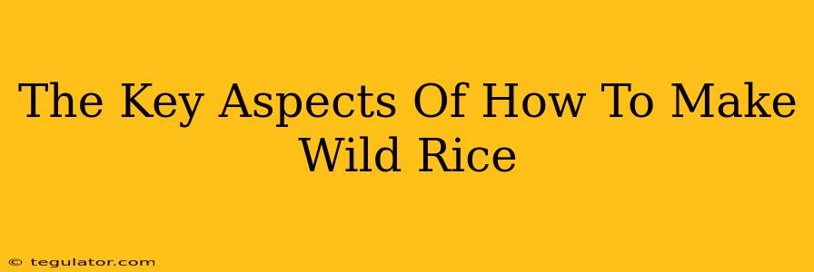 The Key Aspects Of How To Make Wild Rice