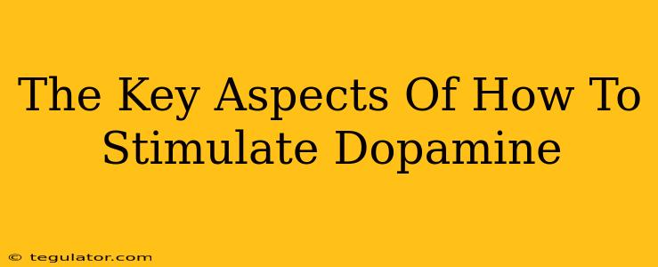 The Key Aspects Of How To Stimulate Dopamine