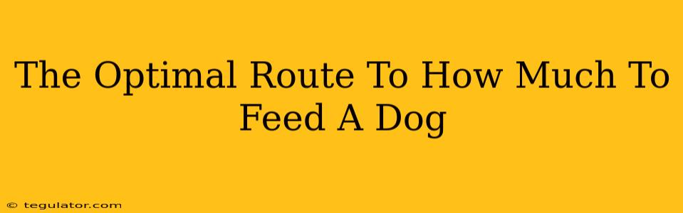 The Optimal Route To How Much To Feed A Dog