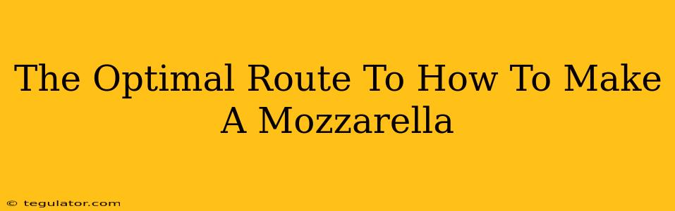 The Optimal Route To How To Make A Mozzarella