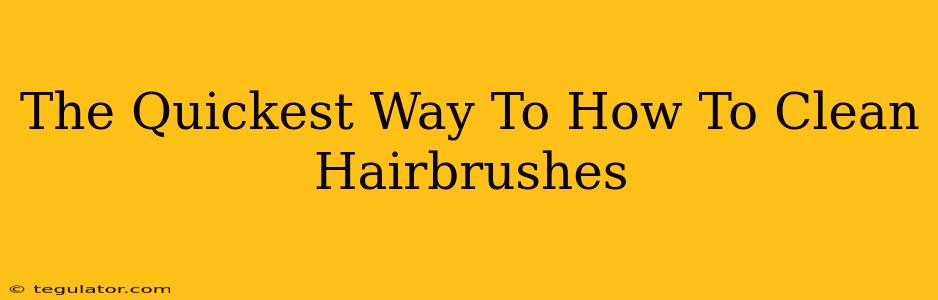 The Quickest Way To How To Clean Hairbrushes