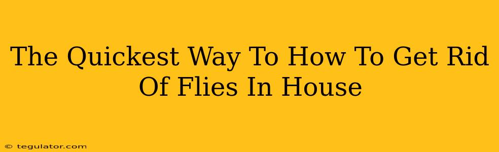 The Quickest Way To How To Get Rid Of Flies In House