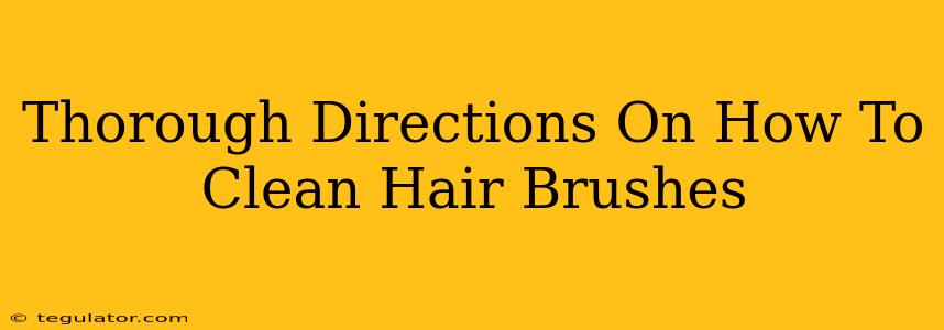 Thorough Directions On How To Clean Hair Brushes