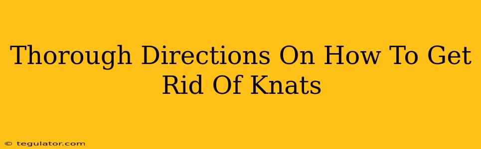 Thorough Directions On How To Get Rid Of Knats