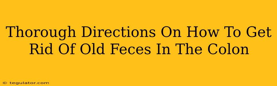 Thorough Directions On How To Get Rid Of Old Feces In The Colon