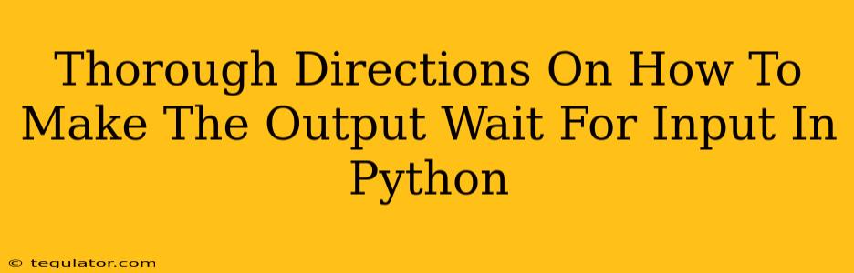 Thorough Directions On How To Make The Output Wait For Input In Python