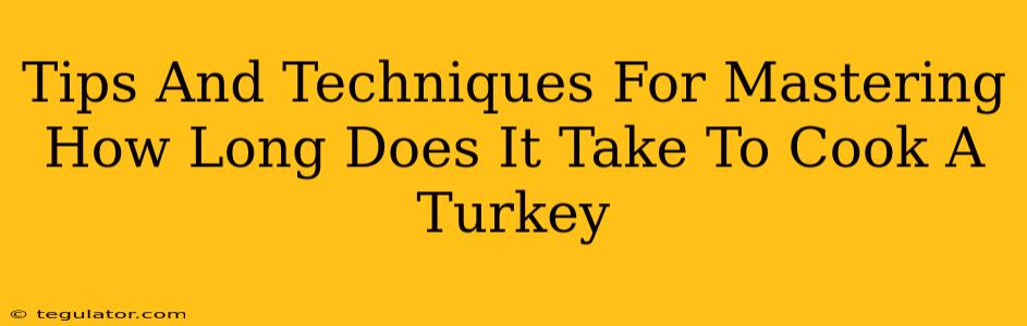 Tips And Techniques For Mastering How Long Does It Take To Cook A Turkey