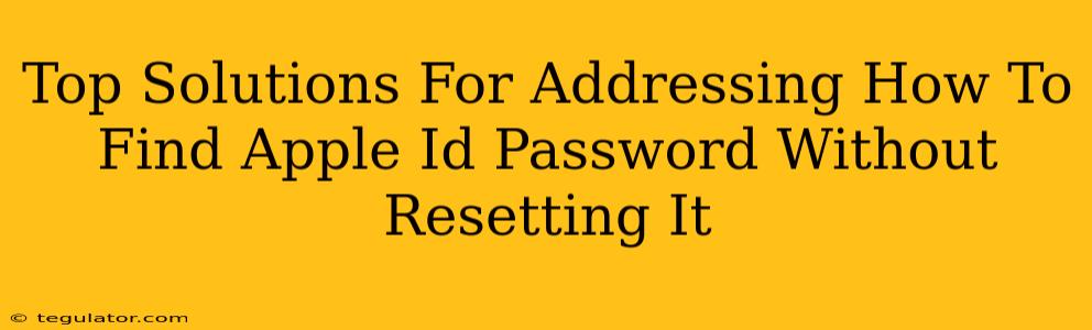 Top Solutions For Addressing How To Find Apple Id Password Without Resetting It