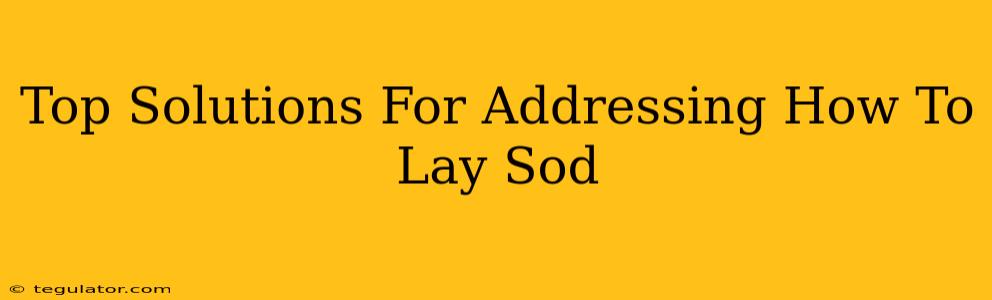 Top Solutions For Addressing How To Lay Sod