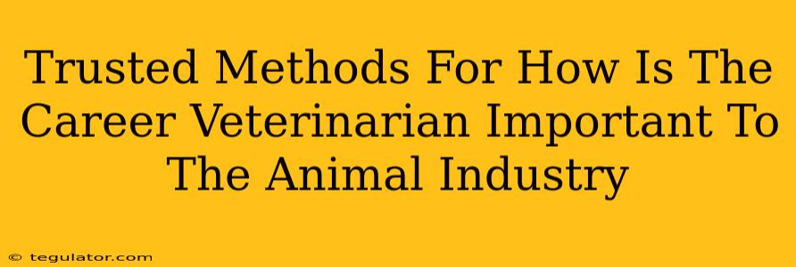 Trusted Methods For How Is The Career Veterinarian Important To The Animal Industry