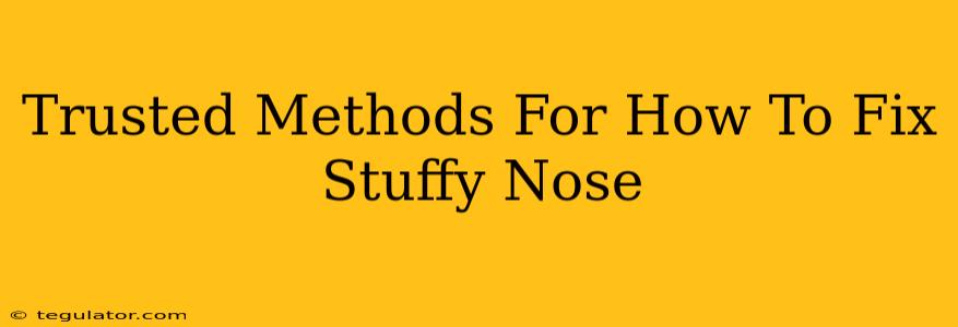 Trusted Methods For How To Fix Stuffy Nose