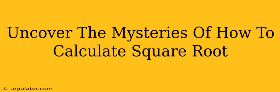 Uncover The Mysteries Of How To Calculate Square Root