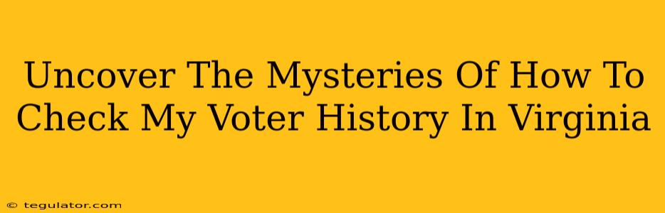 Uncover The Mysteries Of How To Check My Voter History In Virginia