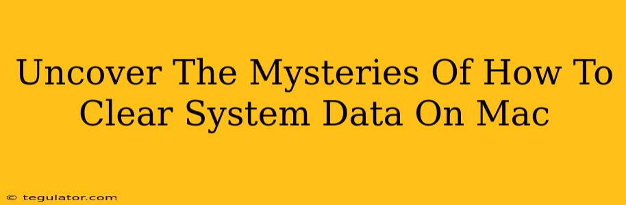 Uncover The Mysteries Of How To Clear System Data On Mac