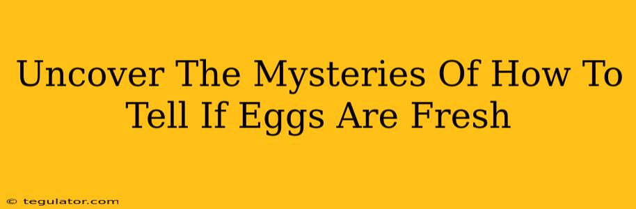 Uncover The Mysteries Of How To Tell If Eggs Are Fresh