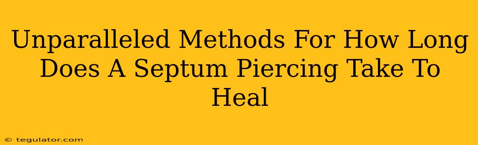 Unparalleled Methods For How Long Does A Septum Piercing Take To Heal