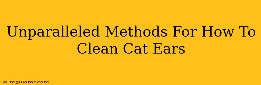 Unparalleled Methods For How To Clean Cat Ears