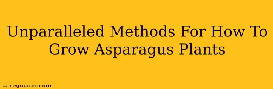 Unparalleled Methods For How To Grow Asparagus Plants