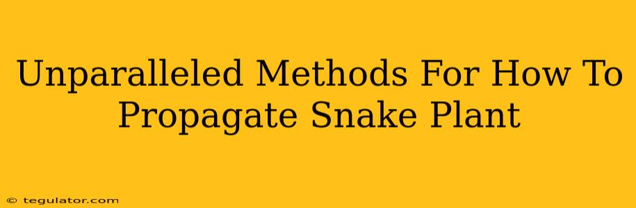 Unparalleled Methods For How To Propagate Snake Plant