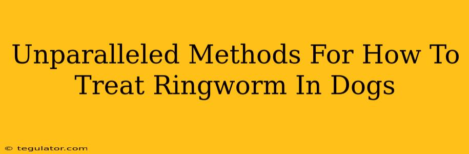 Unparalleled Methods For How To Treat Ringworm In Dogs