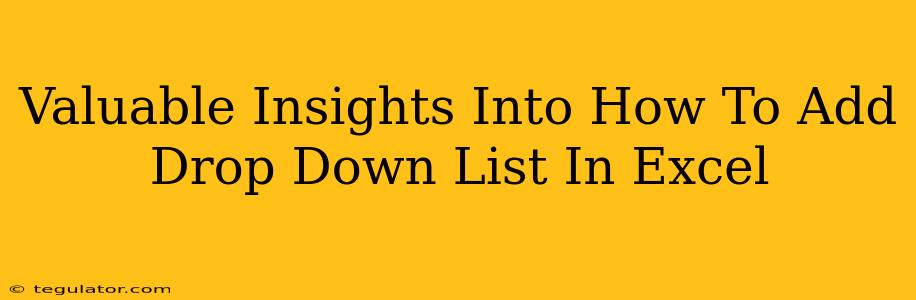 Valuable Insights Into How To Add Drop Down List In Excel