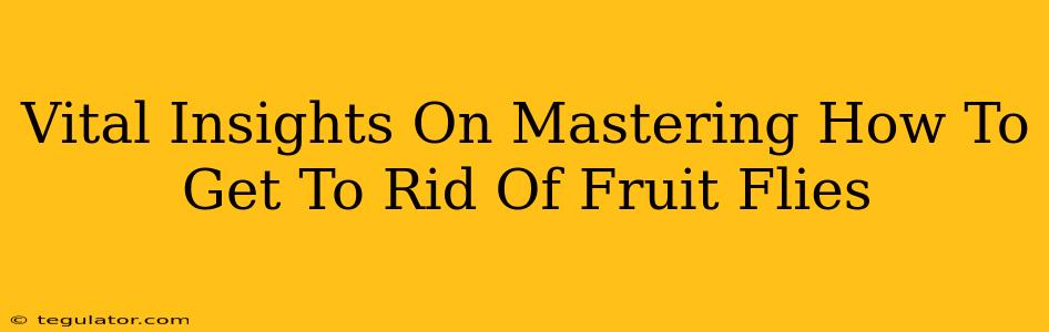 Vital Insights On Mastering How To Get To Rid Of Fruit Flies