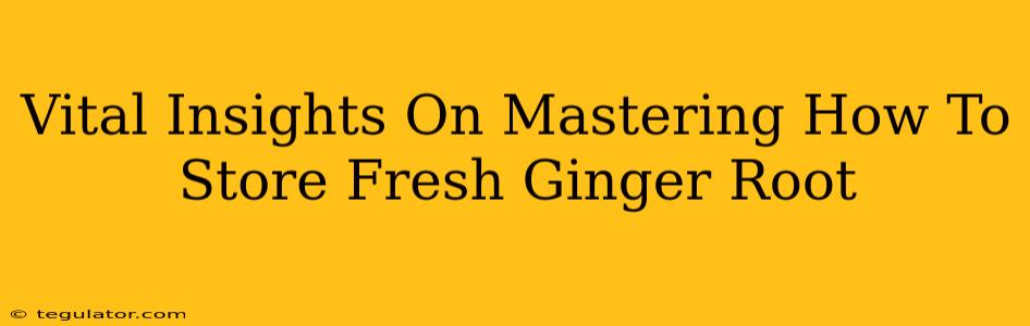 Vital Insights On Mastering How To Store Fresh Ginger Root