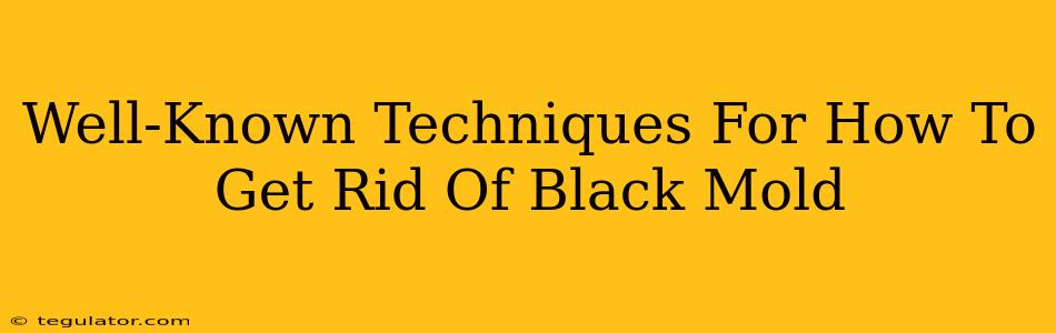 Well-Known Techniques For How To Get Rid Of Black Mold